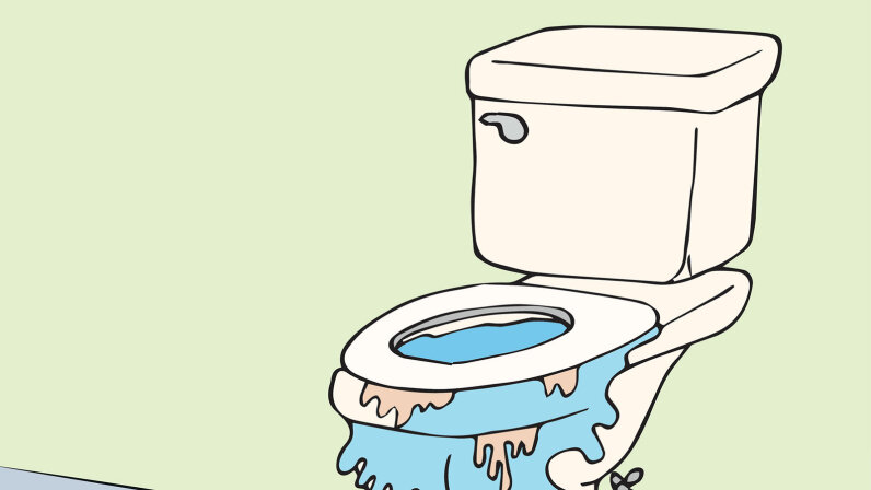 how to fix a backed up toilet