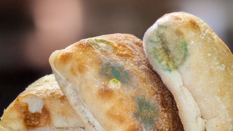 what-if-you-eat-moldy-bread-howstuffworks