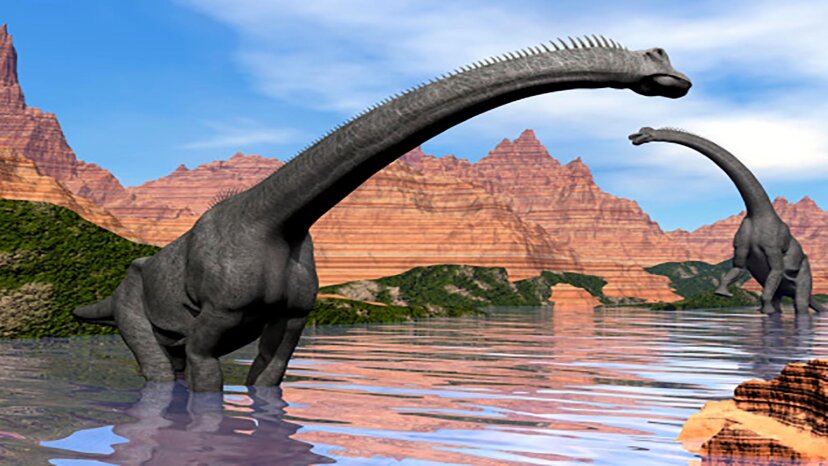 brachiosaurus 