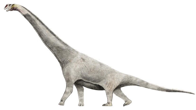 brachiosauro 