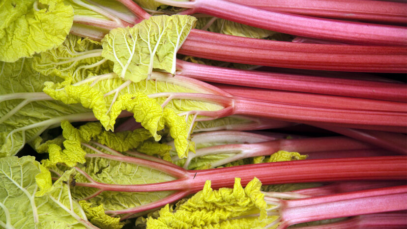 rhubarb