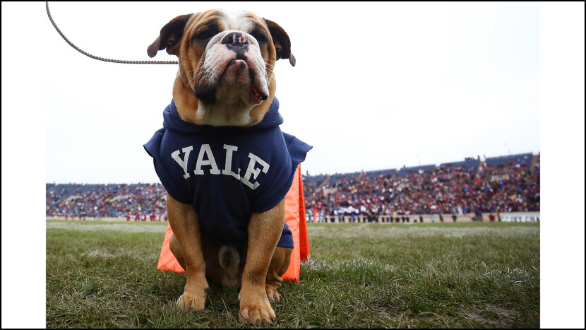 The 15 Worst College Mascots Of All Time - Vrogue