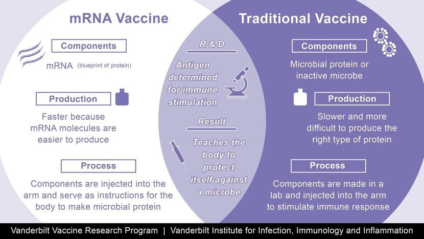 Two COVID-19 mRNA Vaccines Are Gamechangers | HowStuffWorks