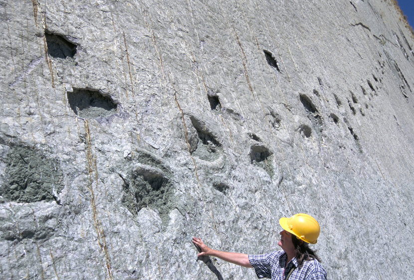 luck stone dinosaur tracks