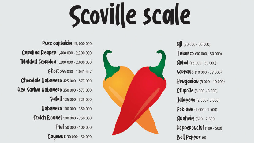 The Scoville Scale How Hot Is That Pepper Howstuffworks X 8in.) my son ...