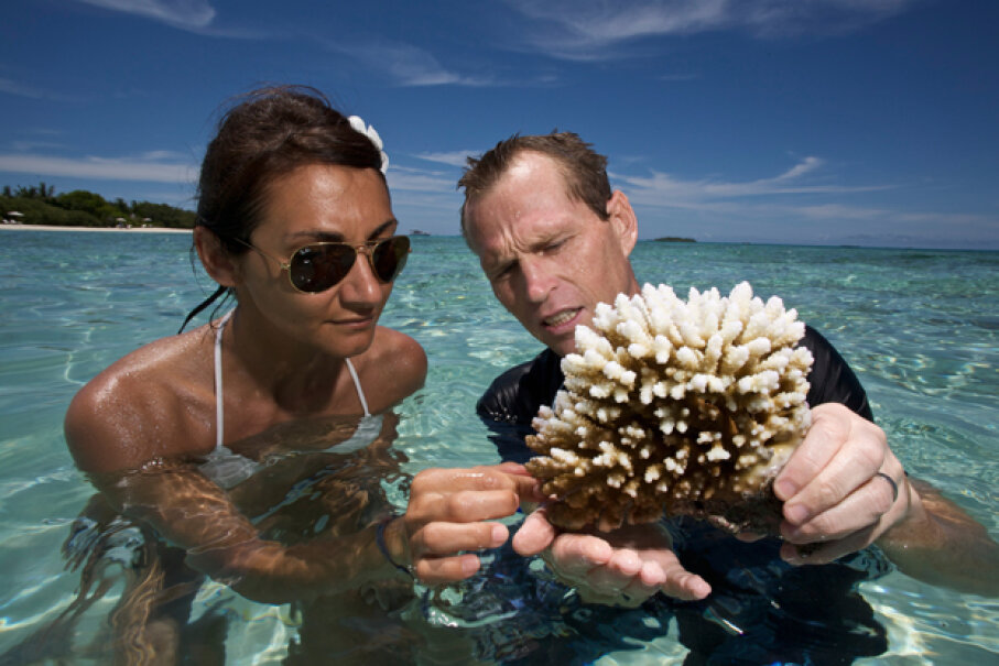 9-marine-biologist-10-jobs-that-will-take-you-on-wild-adventures