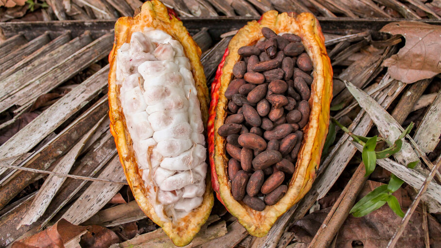 How Do You Make Chocolate From Cacao Beans