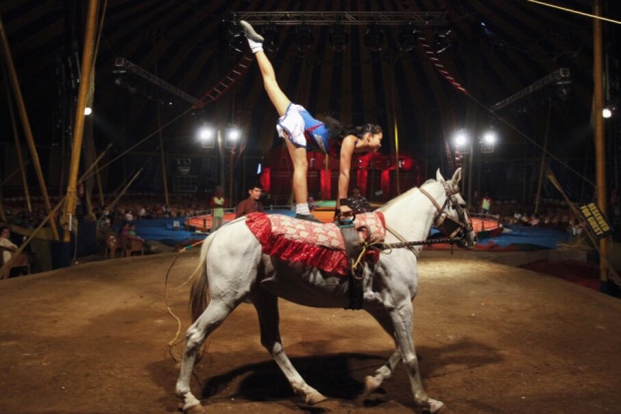4: Equestrian Acts - 10 of the Most Dangerous Circus Acts Performed