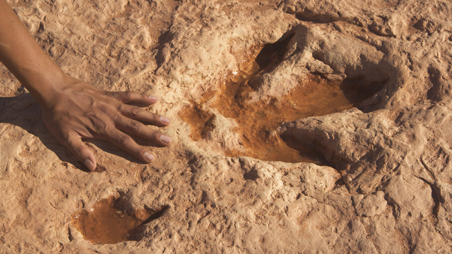 human footprint dinosaur print