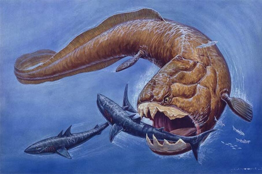 9 Extinct Exotic Sea Creatures | HowStuffWorks