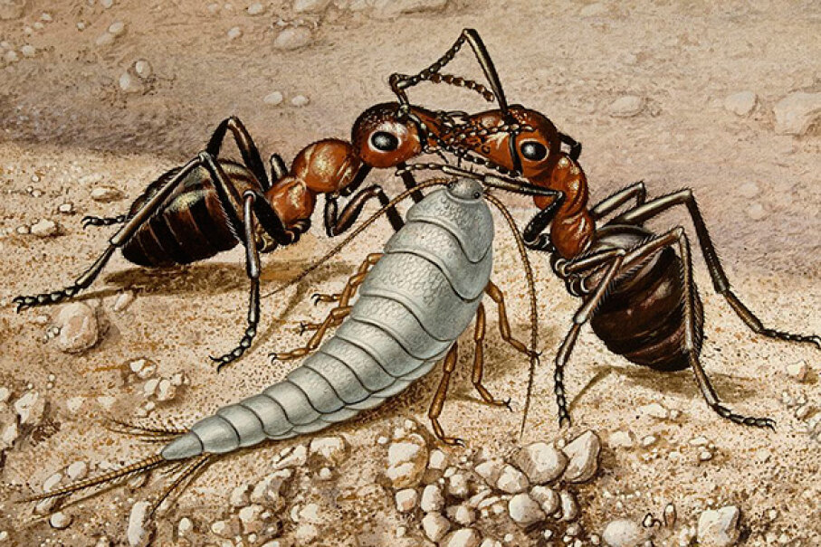 9 Eons Of Evolutionary History 10 Traits That Make Insects Survivors Howstuffworks