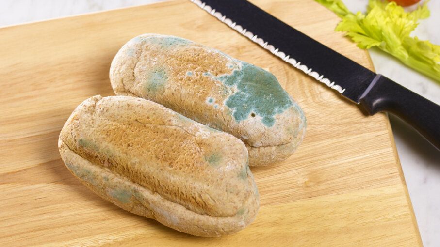 what-if-you-eat-moldy-bread-howstuffworks