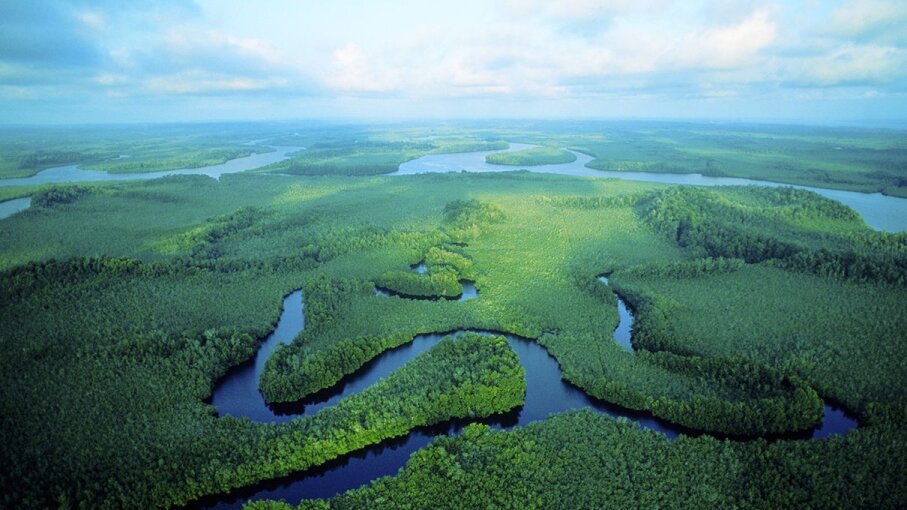 world-s-largest-tropical-peatland-identified-in-remote-congo-swamps