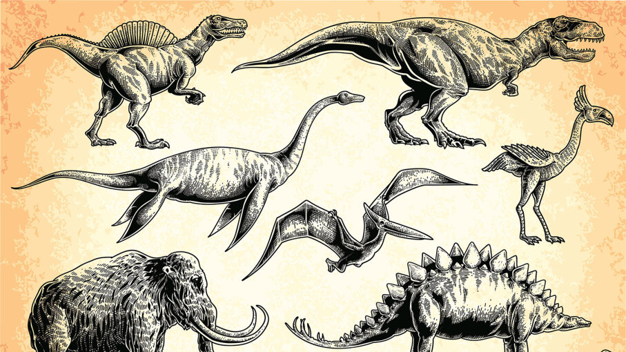 Random Dinosaur Names - baryonyx roblox ancient earth wiki fandom powered by wikia