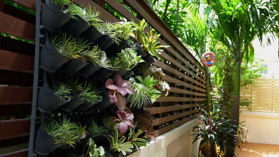 Wall-mounted Gardens - Backyard-Free Gardens: How to Grow Without Space ...